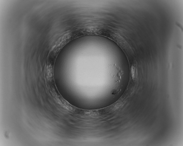 X0000101961107200808011101