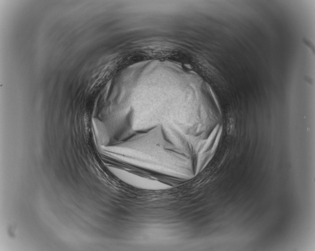 X0000101961108200808011101