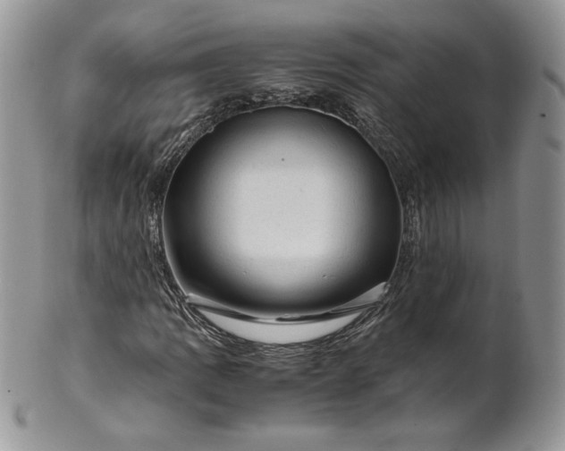 X0000101961109200808011101