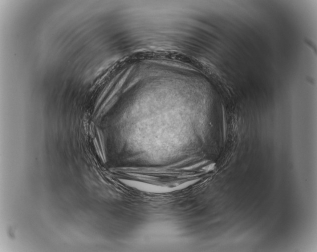 X0000101961110200808011101