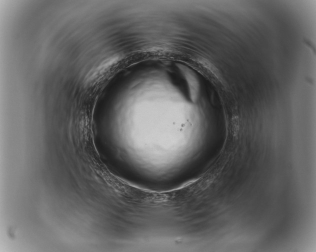 X0000101961111200808011101