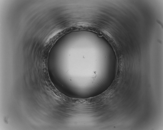 X0000101961112200808011101