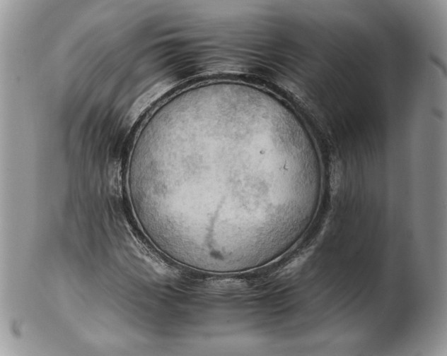 X0000101961113200808011101