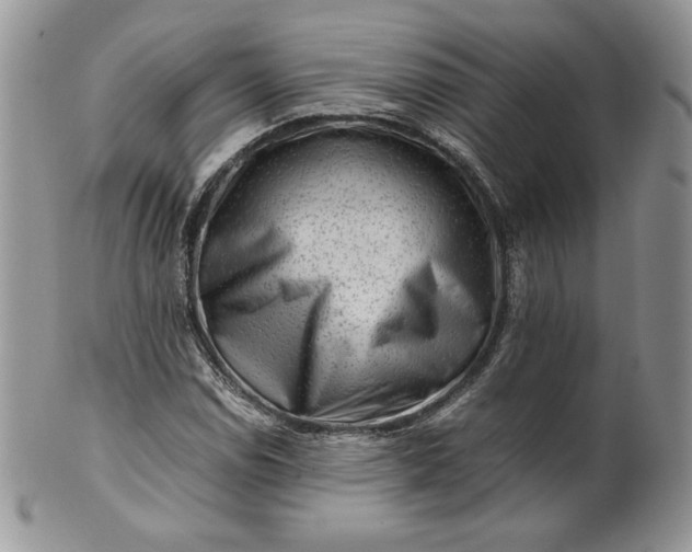 X0000101961114200808011101