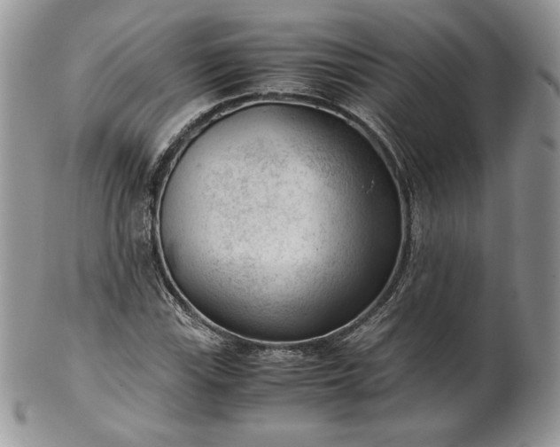 X0000101961115200808011101