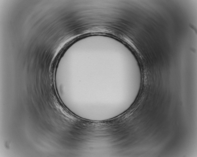 X0000101961116200808011101