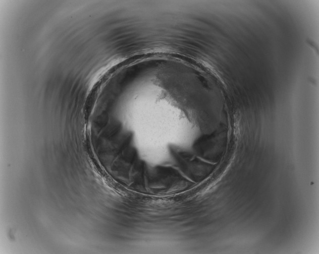 X0000101961117200808011101