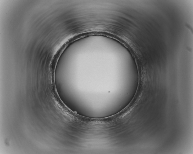 X0000101961118200808011101