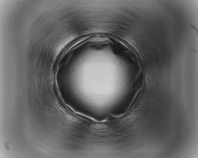 X0000101961119200808011102