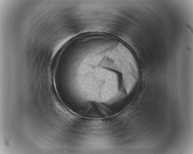 X0000101961120200808011102