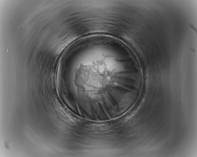 X0000101961121200808011102