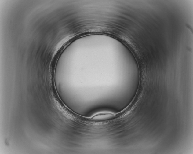 X0000101961122200808011102