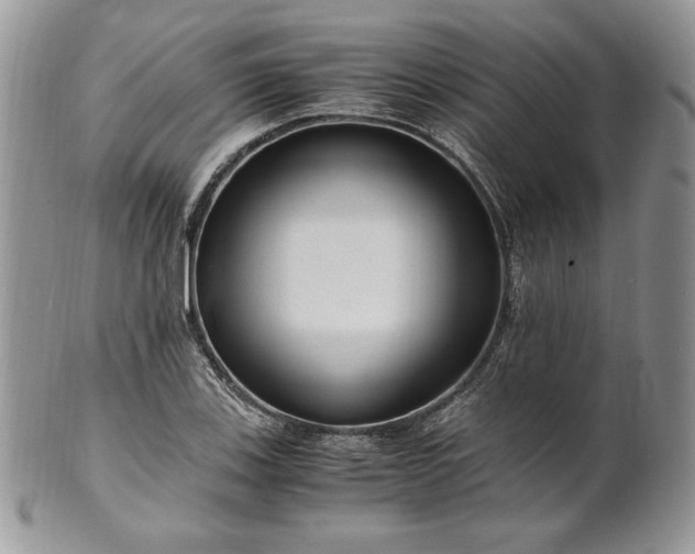 X0000101961123200808011102