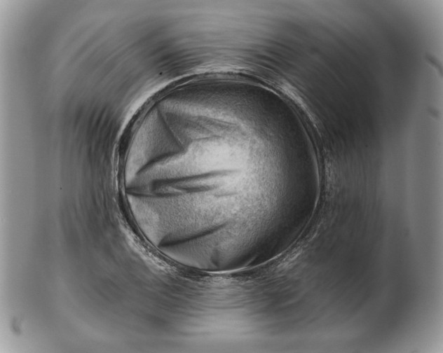 X0000101961124200808011102