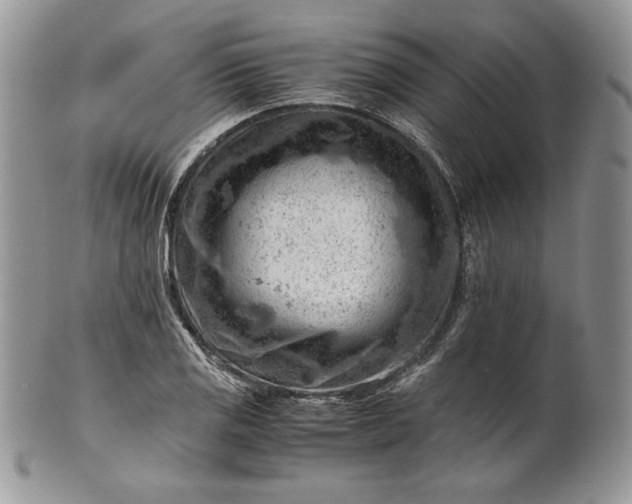 X0000101961125200808011102