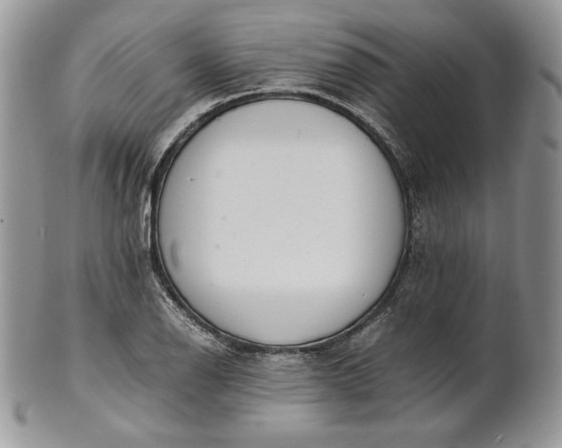 X0000101961126200808011102