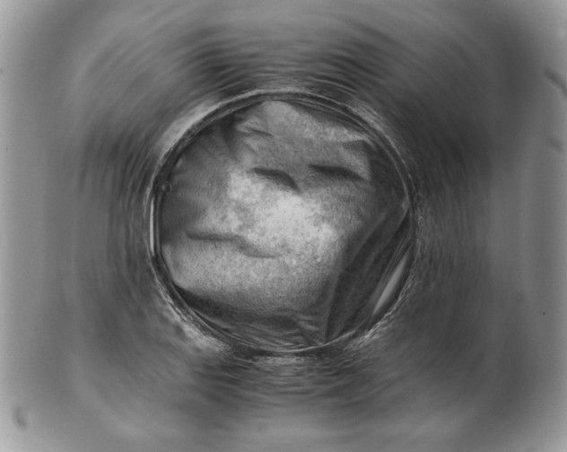 X0000101961127200808011102