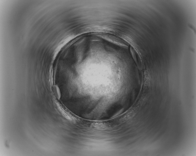 X0000101961128200808011102