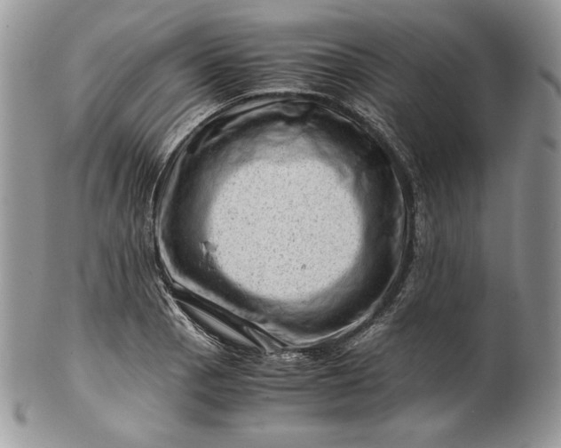 X0000101961129200808011102