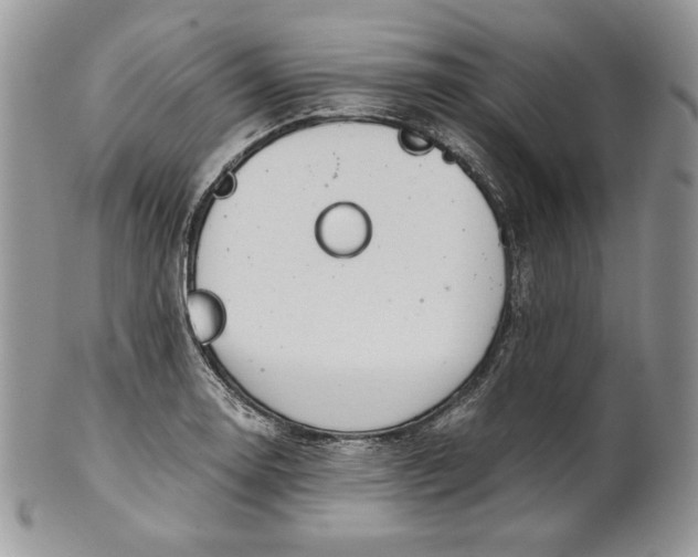 X0000101961130200808011102