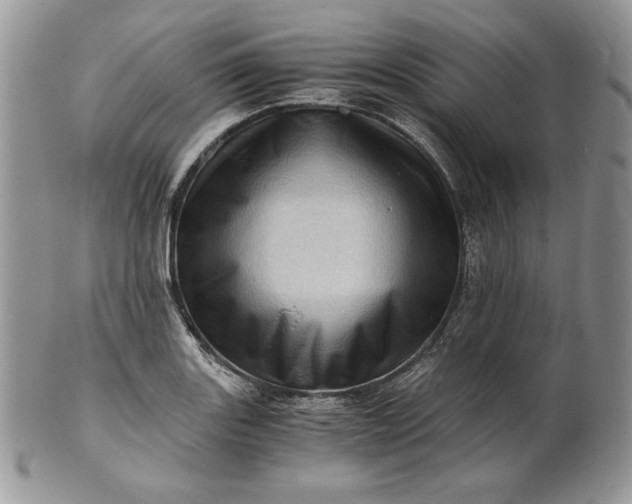 X0000101961131200808011102