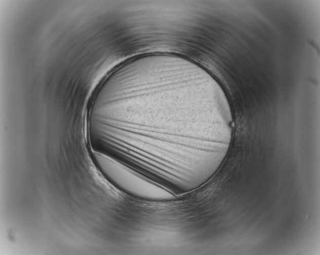 X0000101961132200808011102