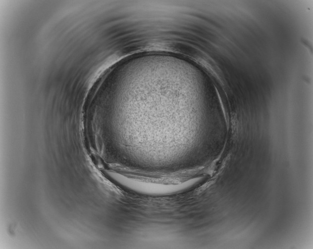 X0000101961133200808011102