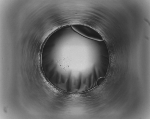 X0000101961134200808011102