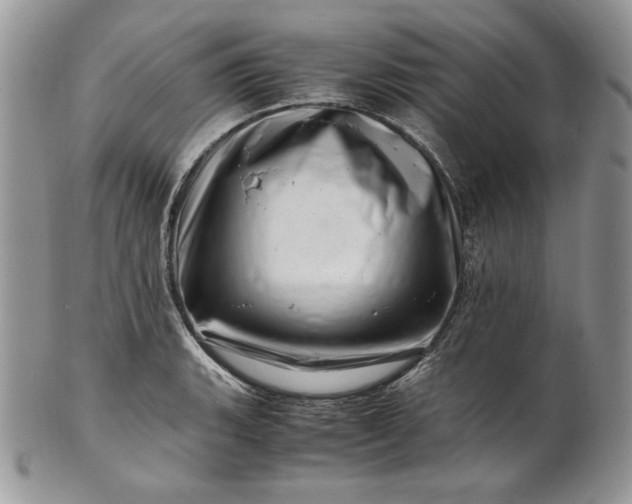 X0000101961135200808011102