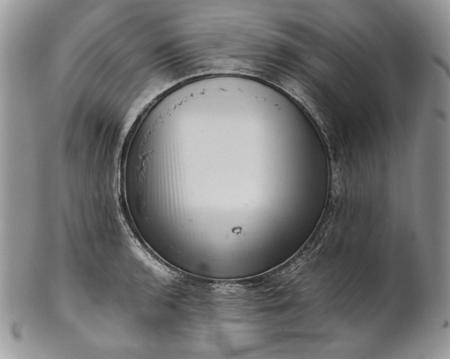 X0000101961136200808011102