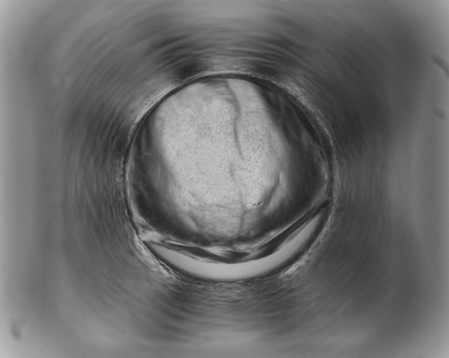 X0000101961137200808011102