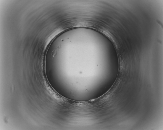 X0000101961138200808011102