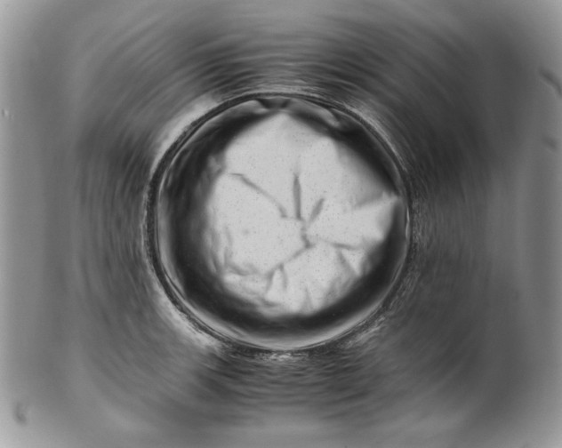 X0000101961139200808011102