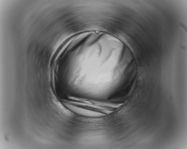 X0000101961140200808011102