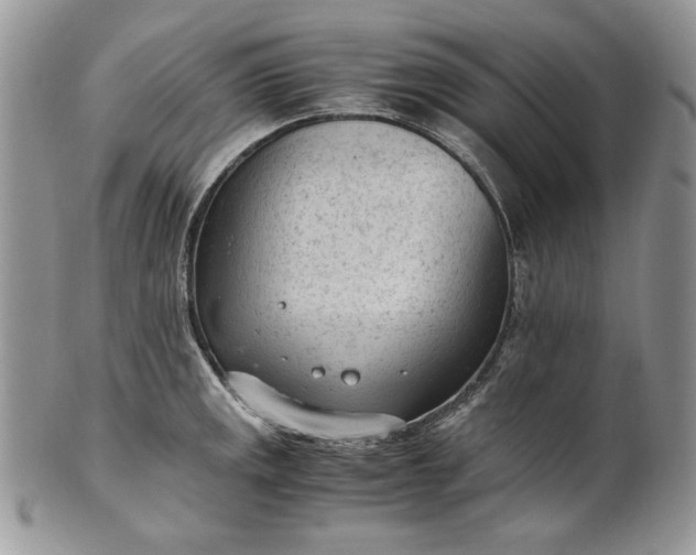 X0000101961141200808011102