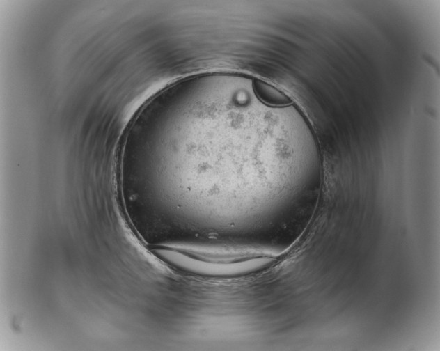 X0000101961142200808011102