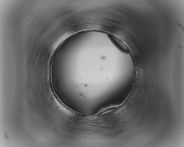 X0000101961143200808011102