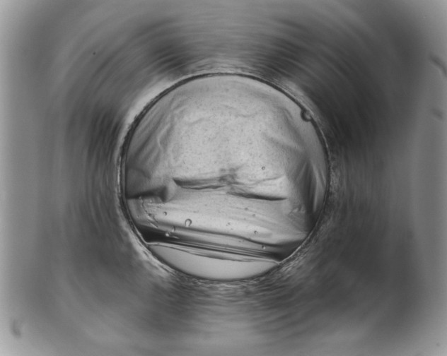 X0000101961144200808011102