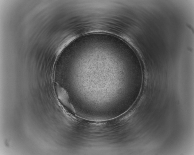 X0000101961145200808011102