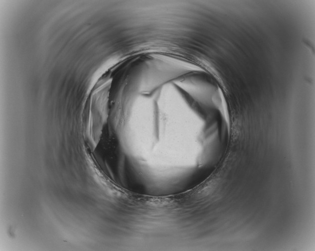 X0000101961146200808011102