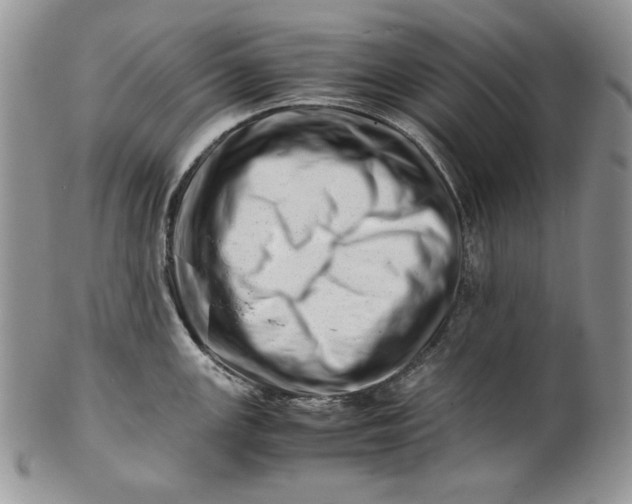 X0000101961147200808011102