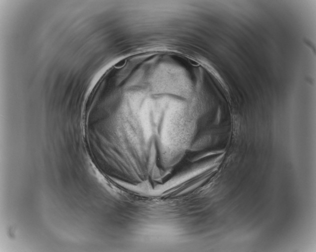 X0000101961148200808011102