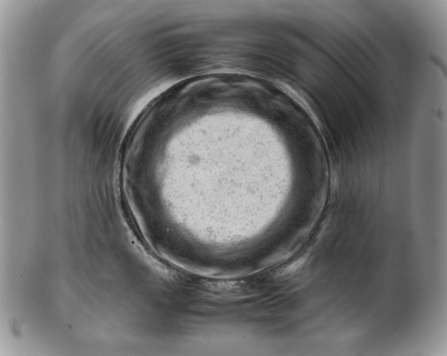 X0000101961149200808011102