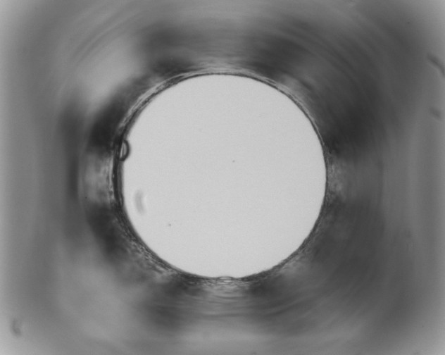 X0000101961150200808011102