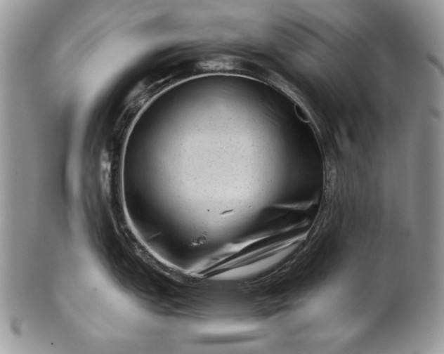 X0000101961151200808011102