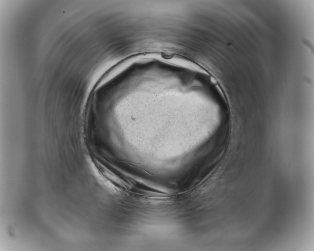 X0000101961152200808011102