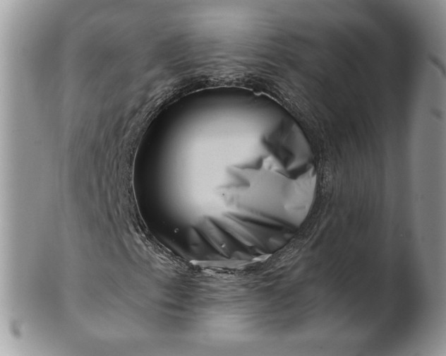 X0000101961153200808011101