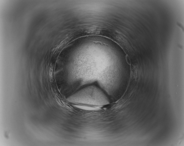 X0000101961154200808011101