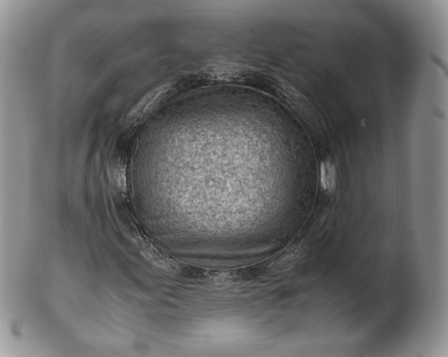 X0000101961155200808011101