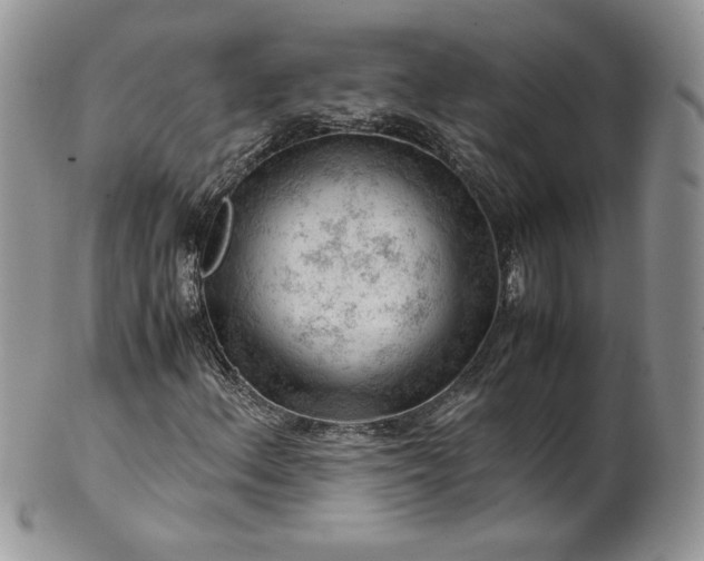 X0000101961156200808011101